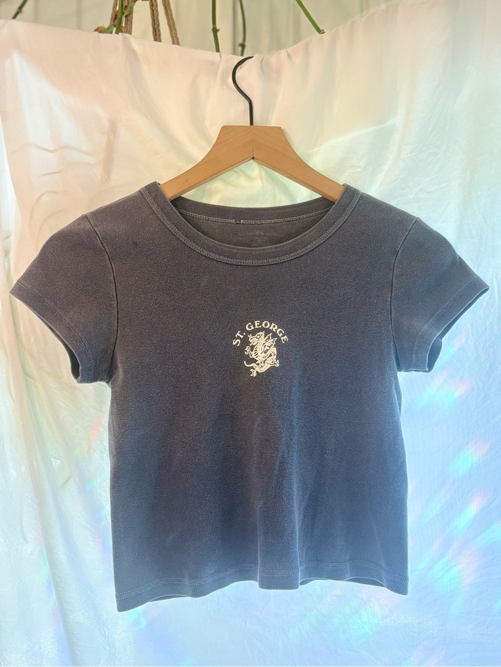 Brandy Melville Navy Blue St. George Graphic Crop Tee